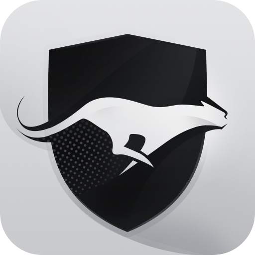 Run VPN 3.5
