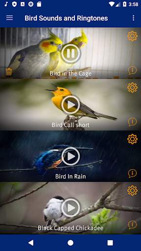 Bird Sounds and Ringtones screenshot 2