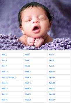 Pregnancy Stages screenshot 9