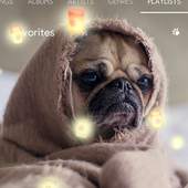 My photo Lantern music player 1.015