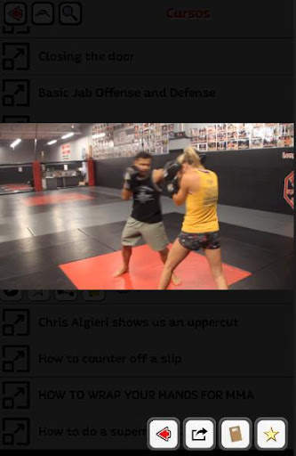 Artes Marciales - Lecciones screenshot 3
