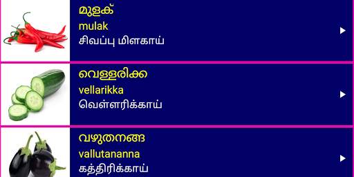 Learn Malayalam From Tamil скриншот 14