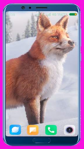 Fox Wallpaper Best 4K screenshot 6