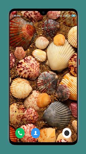 HD Seashell Wallpaper screenshot 9
