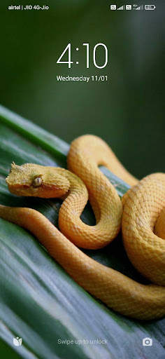 Animal Wallpapers HD screenshot 3