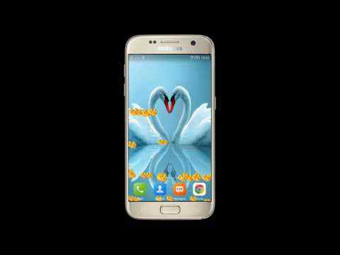 Love Birds Live Wallpaper screenshot 1