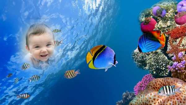 Fish Aquarium Photo Frame screenshot 4