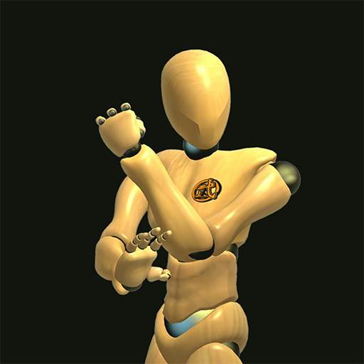 Wing Chun Trainer 316