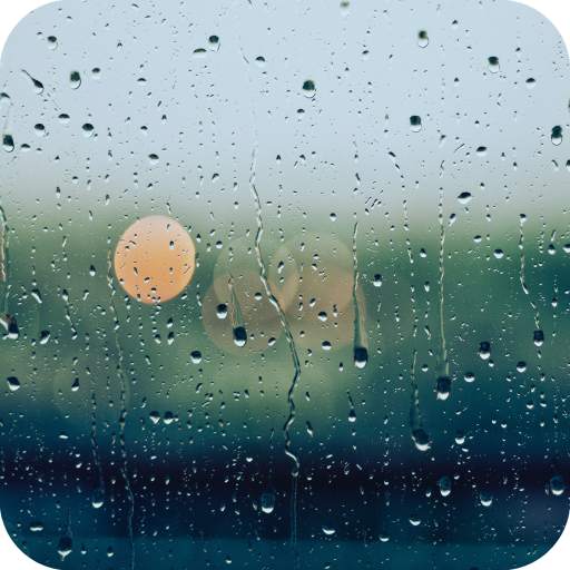 Rain Wallpaper 1.01
