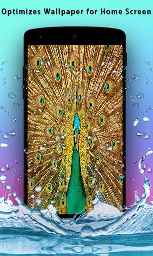 Peacock Feather Live Wallpaper screenshot 2