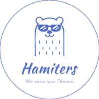 Hamiters | Web & App, Design/Development Company