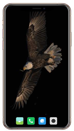 Bird HD Wallpaper screenshot 7
