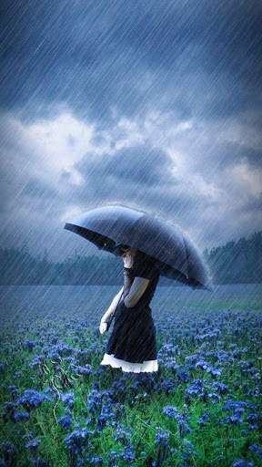 Rain Video Live Wallpaper screenshot 5