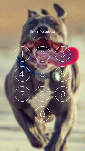 Pitbull Nice Dogs Wallpaper Lock Screen screenshot 4