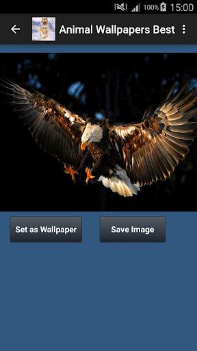 Animal Wallpapers App 🐈🐅🐎 : Animal Background screenshot 3