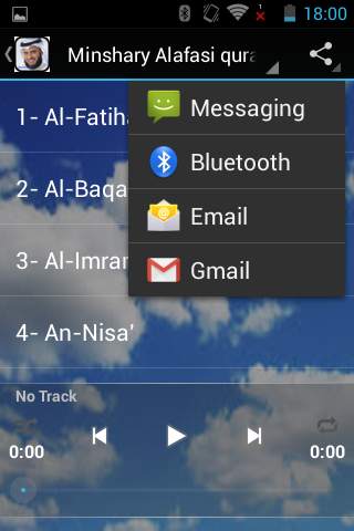 Mishary Alafasy Audio Quran screenshot 2