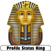 Profile Status King logo