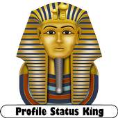 Profile Status King 1.1