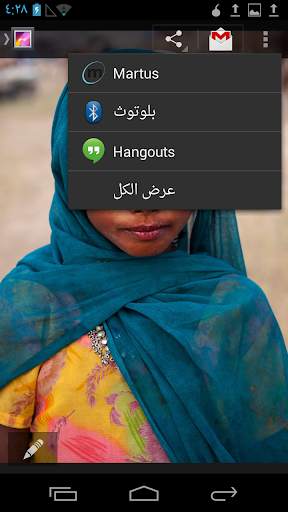 برنامج Martus المحمول 4 تصوير الشاشة