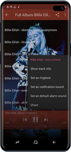 Billie Eilish Songs Offline screenshot 5