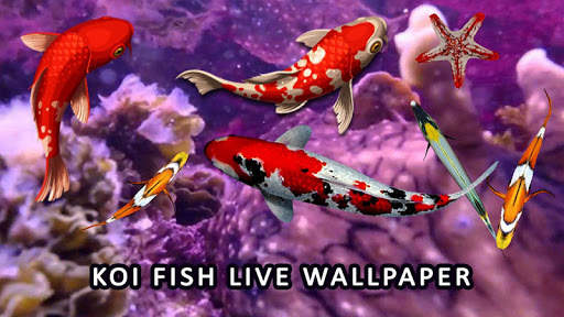 Koi Fish Wallpaper 3D - Water Fish Screensaver 3D screenshot 1
