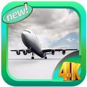 Avion Driving Simulator 3D 1.0