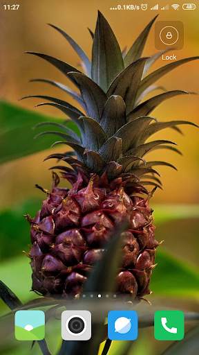 Pineapple Wallpaper screenshot 2