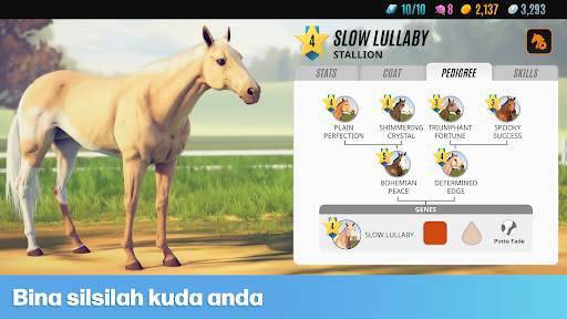 Rival Stars Horse Racing screenshot 5