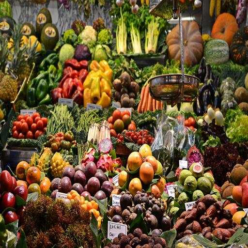 Healthy Food,Weight Loss,Diet Plan 1.1