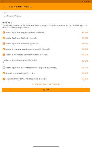 Lettore RSS offline screenshot 3