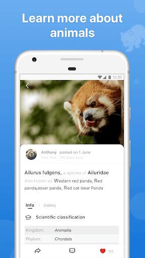 Picture Animal - Animal ID Pro screenshot 3