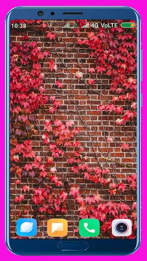 Wall Wallpaper screenshot 7