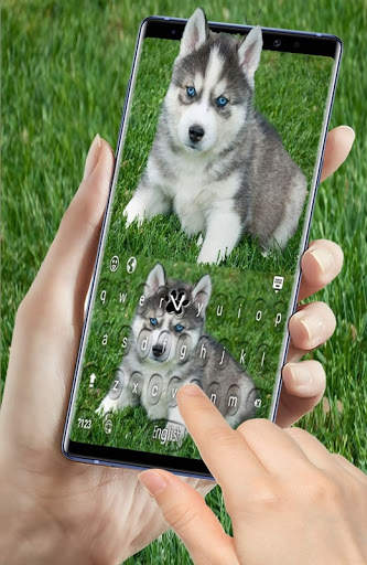 Siberian Husky Puppies Keyboard स्क्रीनशॉट 9