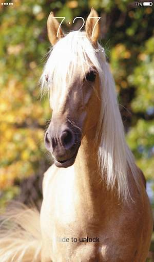 Horses Lock Screen 4K Wallpaper screenshot 4