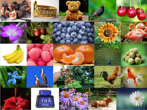 All In One Kids App ABCD Learning App For Children screenshot 10
