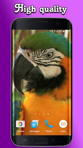 Parrot Live Wallpaper screenshot 2