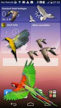 Bird Flying in Phone Prank screenshot 3