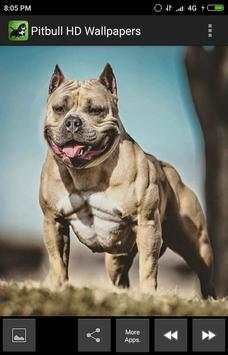 Pitbull HD Wallpapers 2019 screenshot 1