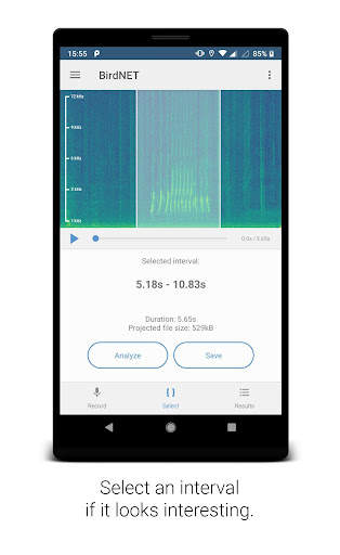 BirdNET screenshot 2
