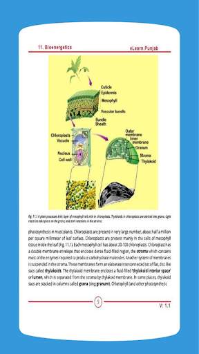 Biology 11 Punjab Textbook (Offline) 5 تصوير الشاشة