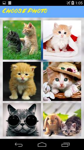 Funny Cats Jigsaw Puzzle screenshot 2