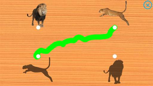 Animals for Kids - Flashcards, Puzzles & Sounds screenshot 5