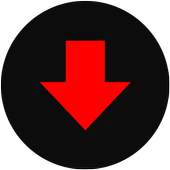 Free Video Downloader 1.0