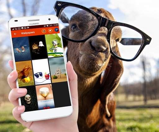 Funny Gif Stickers screenshot 1