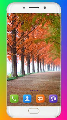 Fall Wallpaper HD screenshot 16