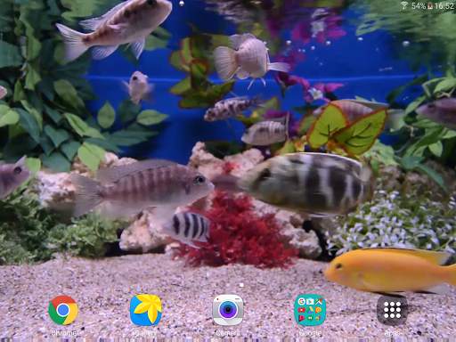 Aquarium 4K Live Wallpaper screenshot 12