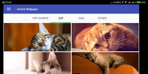 Animal Wallpaper screenshot 8