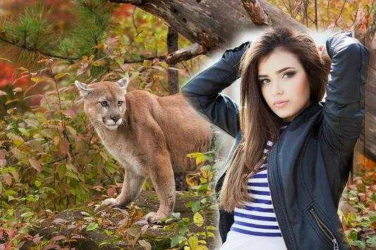 Wild Animal Photo Backgrounds 1 تصوير الشاشة