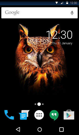Owl Animated Keyboard   Live Wallpaper screenshot 5