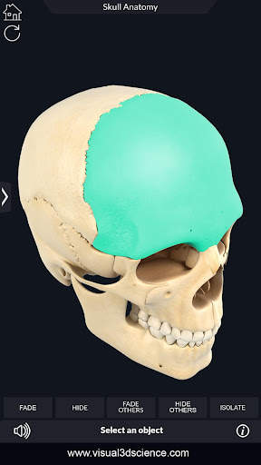 My Skull Anatomy screenshot 4